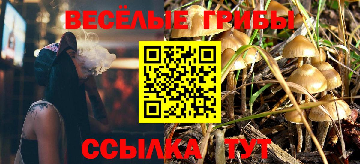 Великие Луки  Галлюциногенные грибы Psilocybine cubensis  Вход с VPN  Псилоцибиновые грибы мицелий 